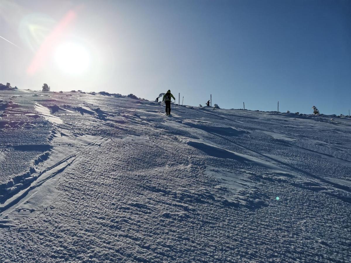 Luxusni Apt Hory 7 V Krkonosich Vysoké nad Jizerou Exteriér fotografie